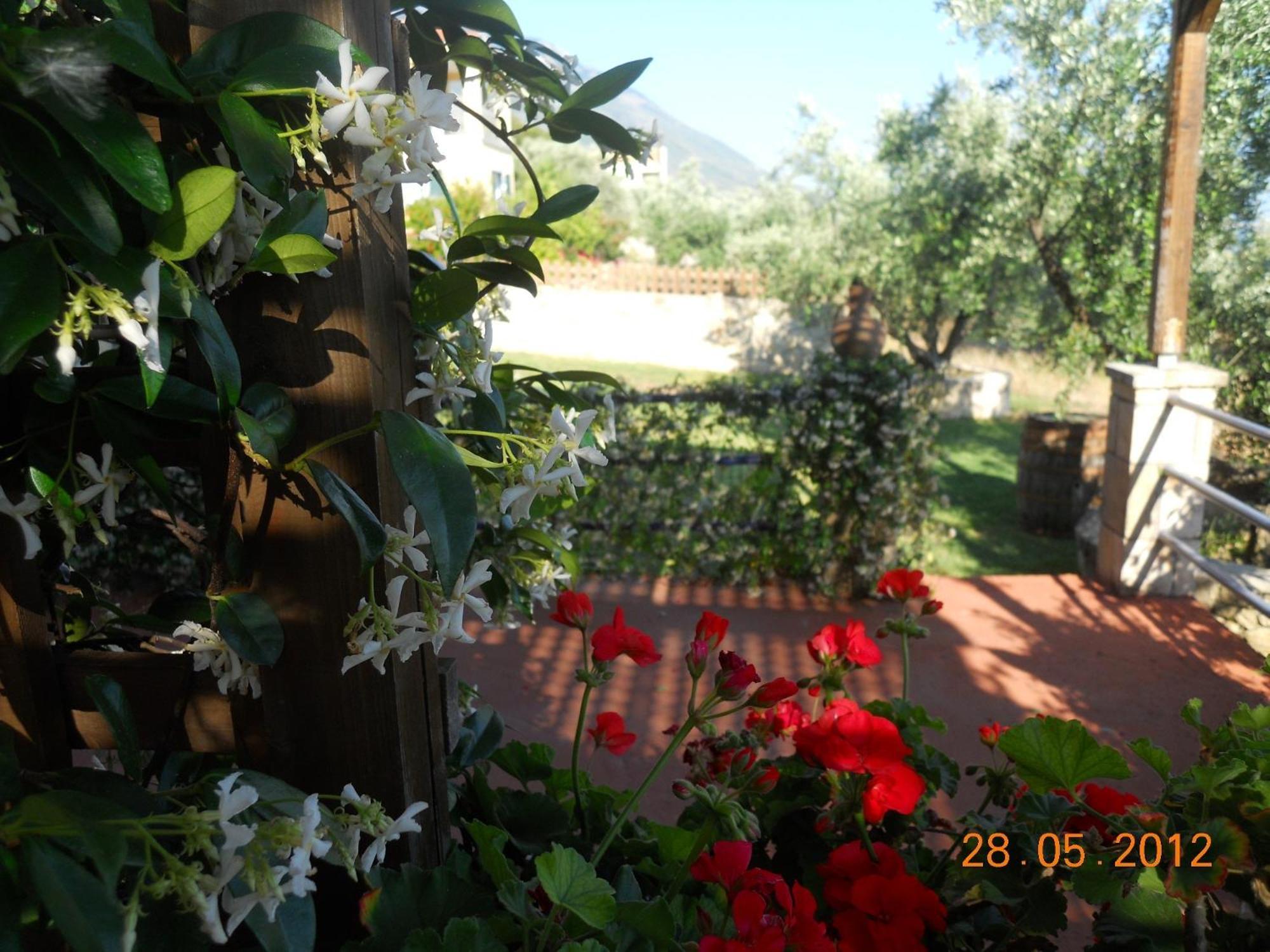 Delfinia Apartment Vlachata Екстериор снимка
